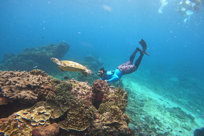 Snorkeling Day Trip to Nusa Lembongan and Nusa Penida - Who should book this, and who should skip it
