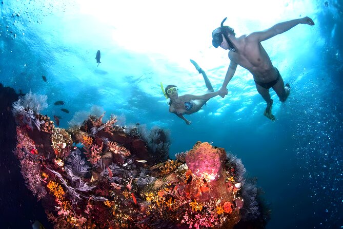 Snorkeling in Blue Lagoon Padang Bai Bali : Snorkel in the clear blue waters - Who should book this Blue Lagoon private snorkeling tour?