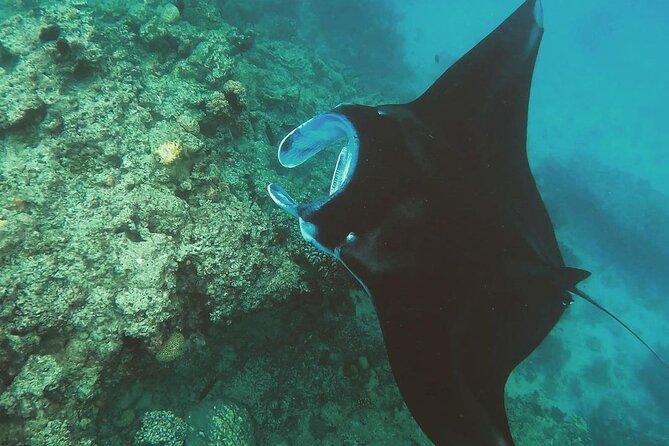 Snorkeling In Nusa Penida And Uluwatu Sunset Tours - Uluwatu Temple: Sunset Timing Meets Real Crowds