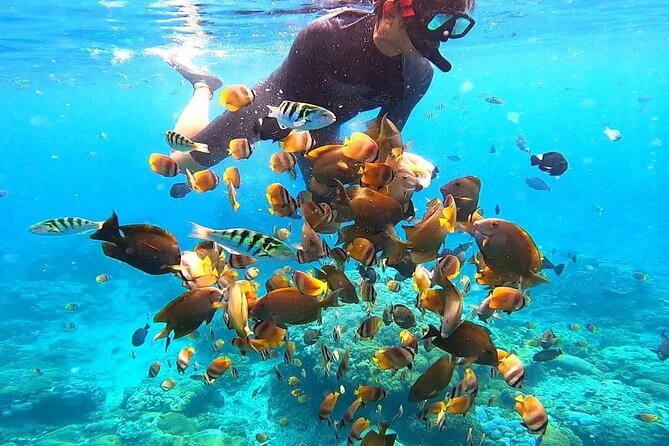 Snorkeling In Nusa Penida And Uluwatu Sunset Tours - Who This Tour Fits Best (and Who Should Rethink It)