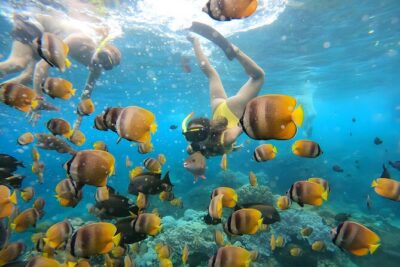 Snorkeling In Nusa Penida Departing From Bali Island - Getting to Sanur Port: the part people underestimate