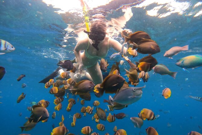 Snorkeling In Nusa Penida Island With Manta Ray From Bali - From Seminyak to Sanur: the Fast-Boat Setup You’ll Feel