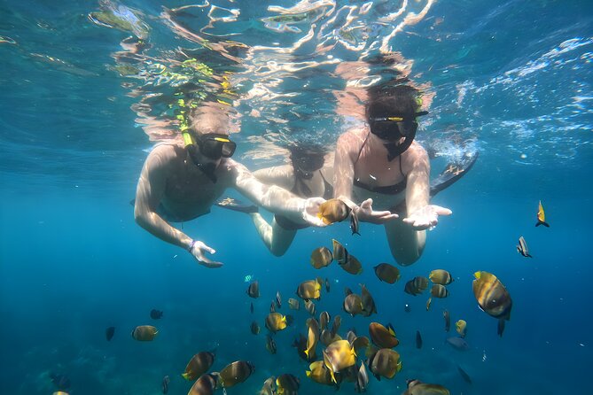 Snorkeling In Nusa Penida Island With Manta Ray From Bali - Manta Bay: The Main Event (And Why Conditions Rule)