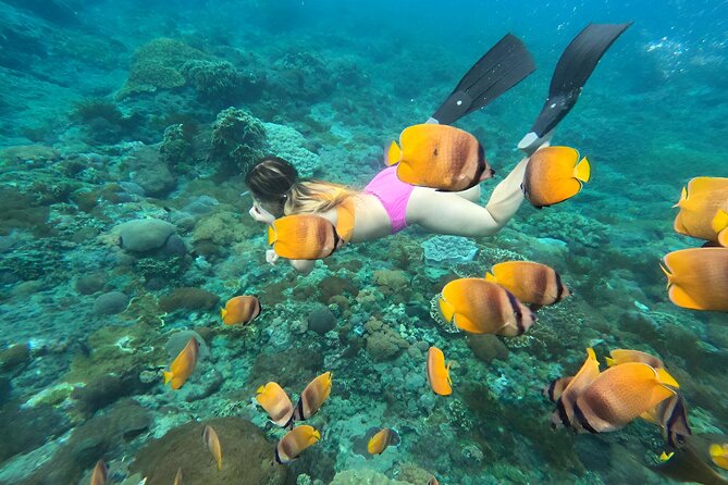 Snorkeling In Nusa Penida Island With Manta Ray From Bali - Sharing Boat vs. Private Feel: What Your Group Setup Means
