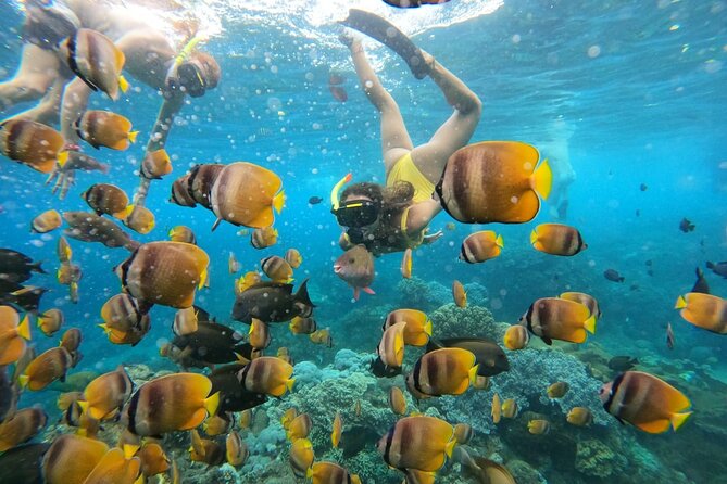 Snorkeling In Nusa Penida Island With Manta Ray From Bali - Price and Value: Is $95 Worth It?