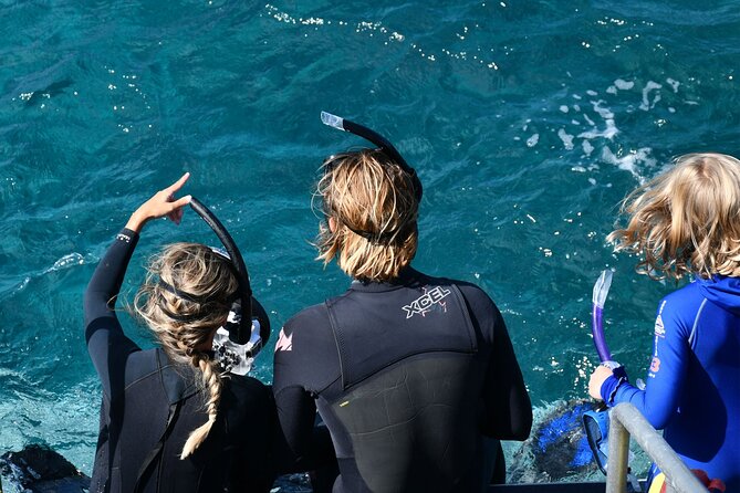 Snorkeling Manta Rays, Land Tour Tembeling Pool & Kelingking - Price and Logistics: what you’re really paying for