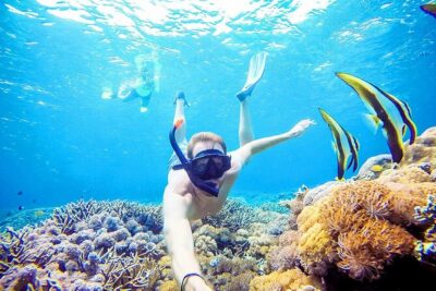 Snorkeling Nusa Penida and Island Tour Package - The Snorkeling Stops: What Each One Gives You