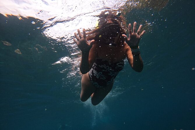 Snorkeling Nusa Penida and Island Tour Package - Lunch on Nusa Penida: A Small Detail That Changes How You Feel at 12:00