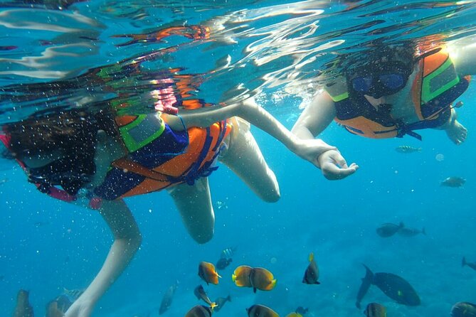Snorkeling Nusa Penida and Island Tour Package - Who This Tour Suits Best (And Who Should Skip It)