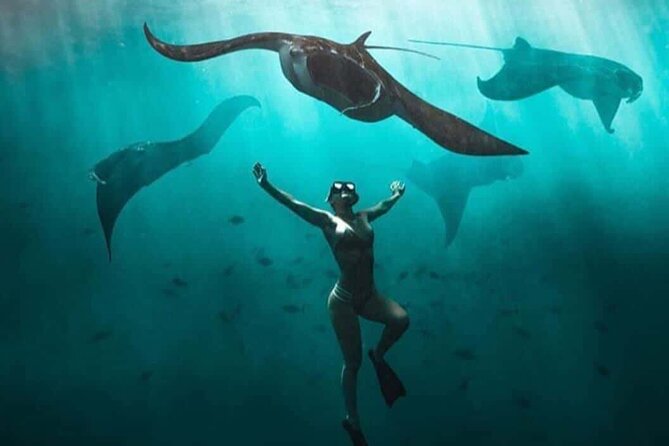 Snorkeling Nusa Penida and Island Tour Package - Price and Value: What $90 Buys You Here