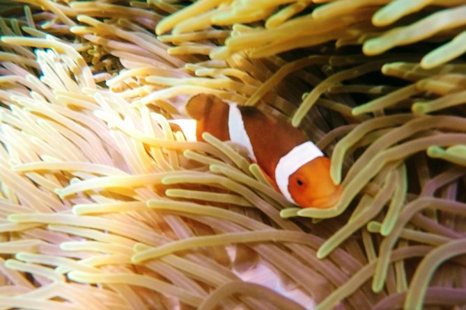 Snorkeling Package at Padang Bai Blue Lagoon - The Jukung Boat Ride Toward Padang Bai’s Blue Lagoon