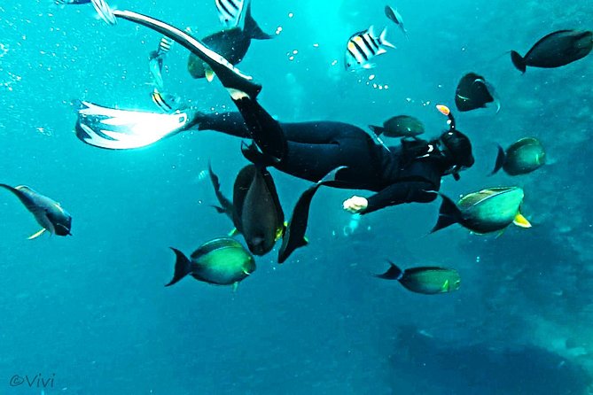Snorkeling Package at Tulamben Liberty Shipwreck - Tulamben’s USS Liberty Wreck: what you’re actually paying for