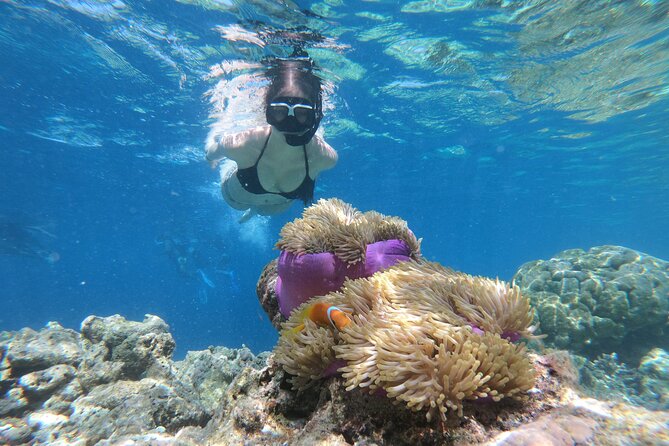 Snorkeling Tour at Blue Lagoon with Private Hotel Transfer - Key highlights at a glance