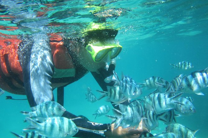 Snorkeling Tour at Blue Lagoon with Private Hotel Transfer - Temple stop with wild bats: a fun cultural pause