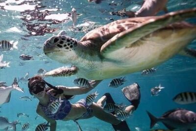 Snorkeling Tour In Gili Trawangan, Gili Meno And Gili Air Pick Up From Bali - Private Car Meets Speedboat: How Transfers Affect Your Snorkeling Time