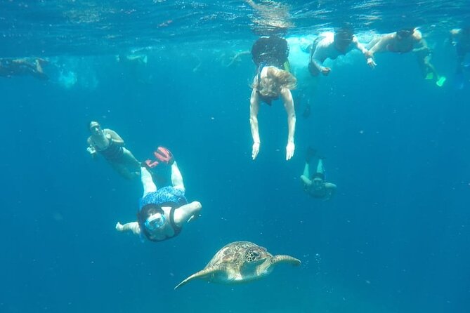 Snorkeling Tour In Gili Trawangan, Gili Meno And Gili Air Pick Up From Bali - Gili Air Fish Spot: Finishing With Another Focused Snorkel