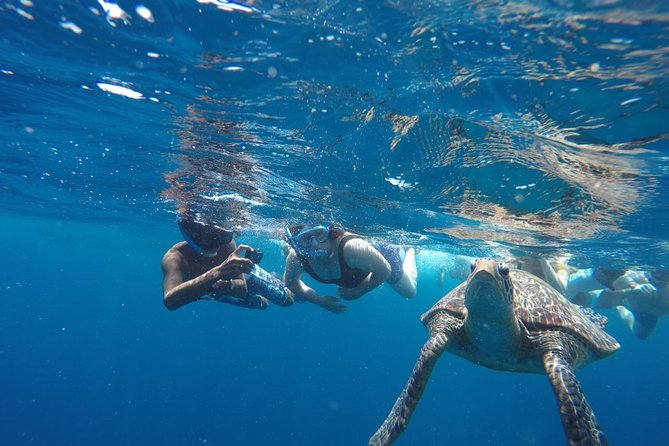 Snorkeling Tour In Gili Trawangan, Gili Meno And Gili Air Pick Up From Bali - Time on the Islands vs Time on the Road: Is This Tour Worth It?