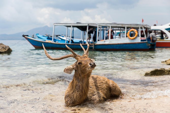 Snorkeling & Trekking at West Bali National Park - West Bali National Park Trek: Temples, Monsoon Forest, and Quiet Nature Time