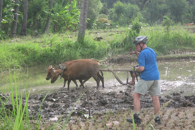 Snorkeling & Trekking at West Bali National Park - Who This Tour Fits Best (And Who Might Want Something Else)
