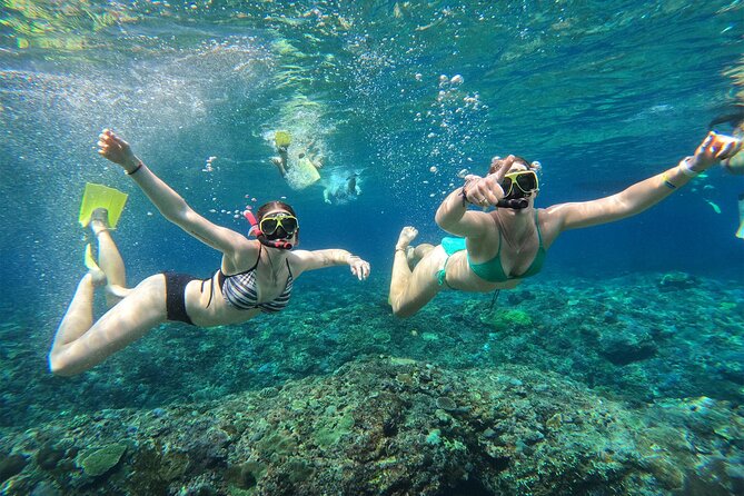 Snorkeling with Manta Rays in Their Habitat with Manta Point - Included gear and the GoPro deal: useful, with one catch