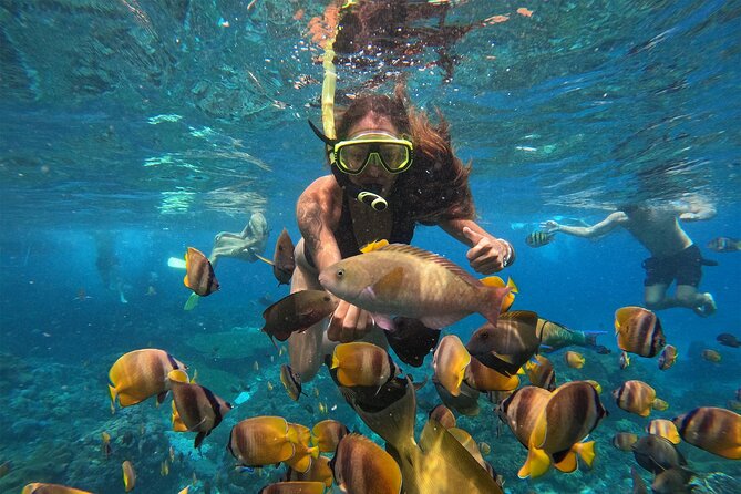 Snorkeling with Manta Rays in Their Habitat with Manta Point - Timing, group size, and why 3 hours is the sweet spot