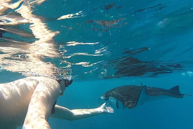 Snorkeling with Manta Rays in Their Habitat with Manta Point - Should you book Manta Point snorkeling with Crystal Bay?