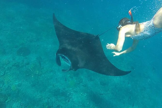 Snorkeling with Manta Rays in Their Habitat with Manta Point - The boat ride from Banjar Nyuh Harbor: short time, real sea conditions