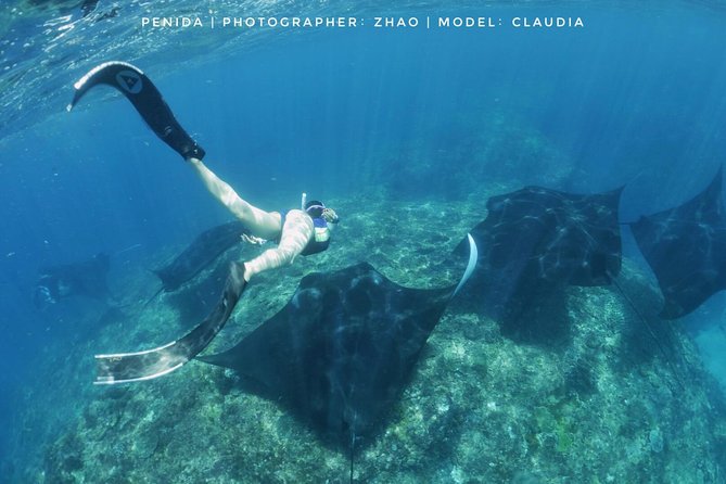 Snorkelling in Nusa Penida - Manta Point - Food and Comfort on Board: Lunch and Hydration That Actually Help