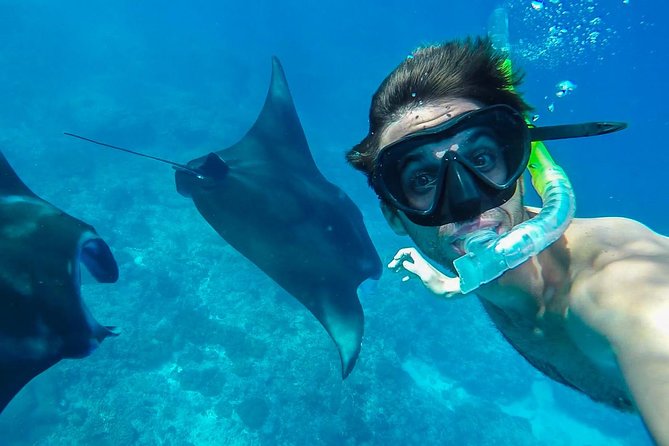 Snorkelling in Nusa Penida - Manta Point - From Sanur to Penida: the Boat Ride That Sets the Tone