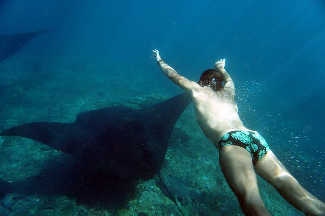 Snorkelling with Manta Rays at Nusa Penida and Lembongan - What’s included (and why it changes the value)