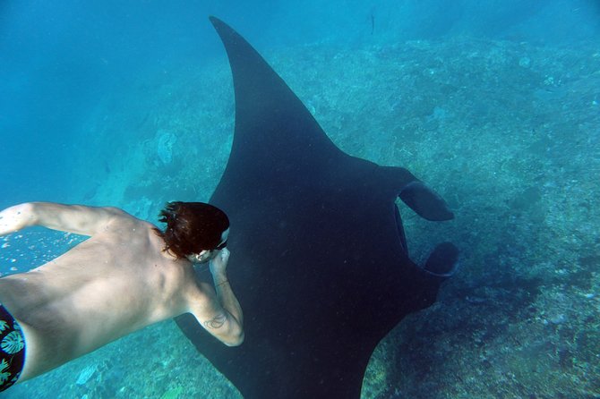 Snorkelling with Manta Rays at Nusa Penida and Lembongan - Who this tour is perfect for