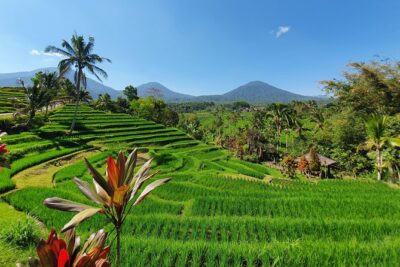 Solo or Group Tour - 10 Hours, 5 Persons Max - Price and Value: What $65 Really Buys You