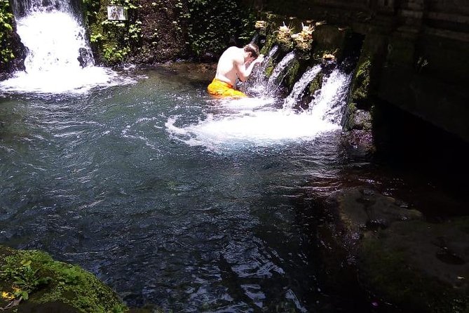 Soul Purification at Pura Mengening in Bali - Price and value: is $45 for 3 hours fair?