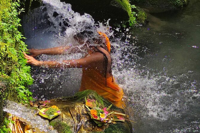 Spiritual Cleansing Ritual and Shamanic Healing in Bali - Tegalalang Rice Terrace: photo-friendly time with time to actually look