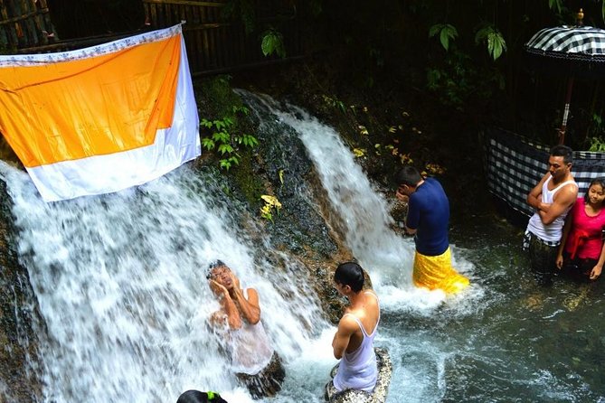 Spiritual Purification and Local Healer Visit Tour (ALL INCLUDED) - Gunung Kawi Sebatu Holy Spring Temple Purification