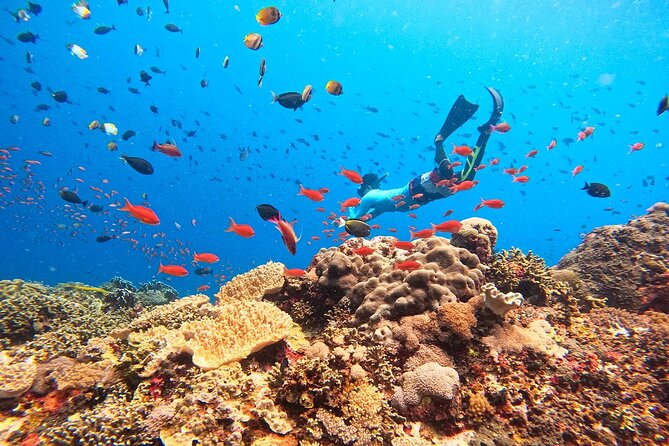 Swim with Manta Rays: Snorkeling Day Trip from Bali - Kuta to Sanur: the day starts at Matahari Terbit