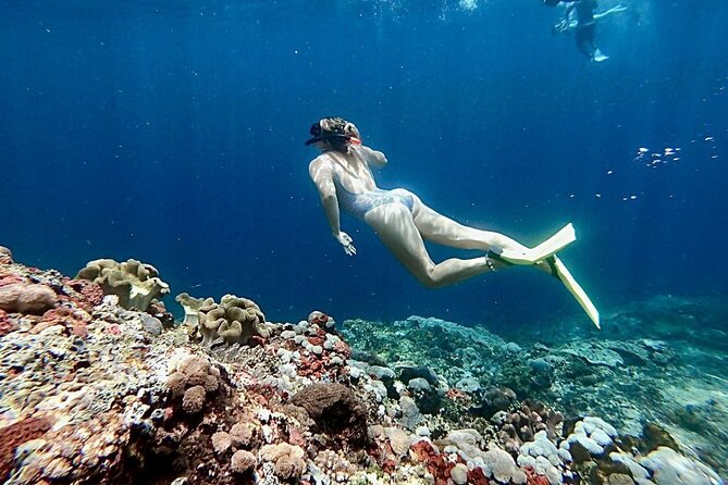Swim with Manta Rays: Snorkeling Day Trip from Bali - Manta Bay snorkeling: the magic stop, plus the crowd factor