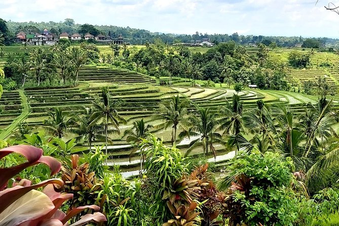 Tanah Lot and Jatiluwih Unesco Rice Terrace Private Tour - Tanah Lot Temple: ocean views that actually move