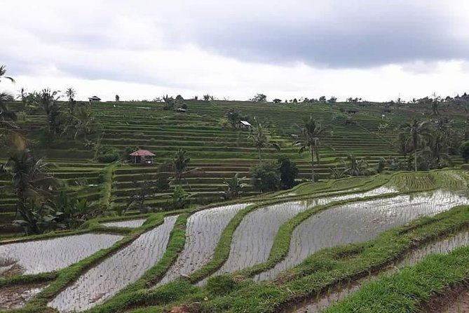 Tanah Lot and North Bali Private Tour - All inclusive - Ulun Danu Bratan: the 17th-century temple on calm Lake Bratan