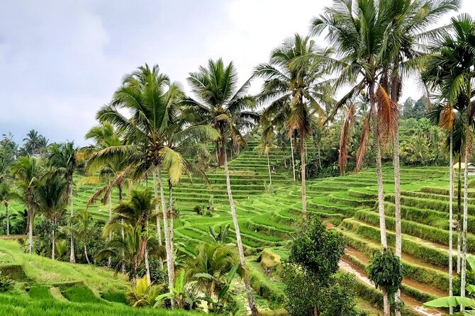 Tanah Lot and North Bali Private Tour - All inclusive - Comfort, timing, and how to get better photos (without rushing)