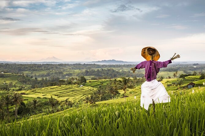 Tanah Lot, Jatiluwih Rice Terrace and Waterfall Day Tour - Price and logistics: what you’re really paying for