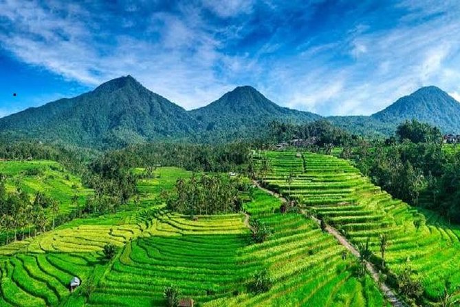 Tanah Lot - Jatiluwih (UNESCO) - Beratan lake -Hidden hill (Wanagiri)-FREE WI-FI - Tanah Lot: Sea Temple Stop and Quick-Time Photos
