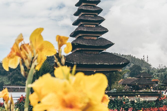 Tanah Lot - Jatiluwih (UNESCO) - Beratan lake -Hidden hill (Wanagiri)-FREE WI-FI - Jatiluwih Green Land (UNESCO) and Why the Guide Matter at Terrace Views