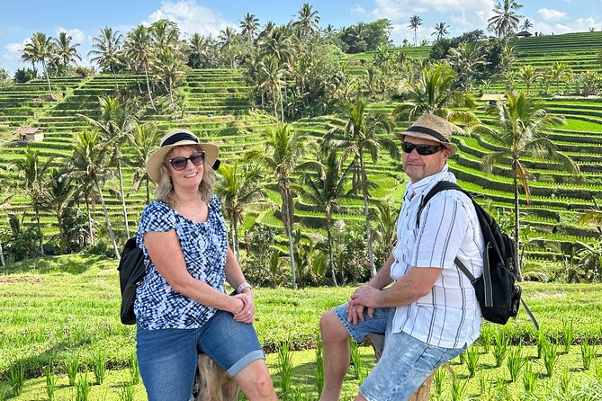 Tanah Lot Tour & North Bali Tour : All-Inclusive Best Experience - Price and logistics: what $85 really buys