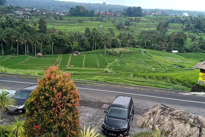 Tanah Lot Tour & North Bali Tour : All-Inclusive Best Experience - The car, lunch, and bottled water: the unglamorous stuff that matters