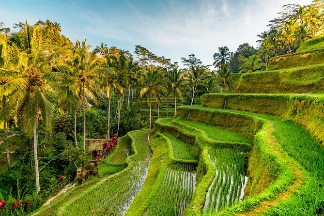 Tanah Lot Tour with Ubud Monkey Forest, Rice Terraces, and Waterfalls - Tegalalang Rice Terraces: Classic Views and Photo-Friendly Layers