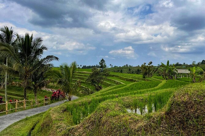 Tanah Lot - Ulun Danu Beratan Temple - Scenic Countryside Tour - Banyumala Twin Waterfalls: jungle time with real nature payoff