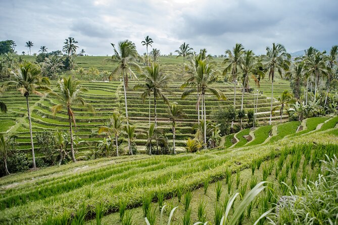 Tanah Lot & UNESCO Heritage Small Group Tour - Pickup, Timing, and How Transport Affects Your Day
