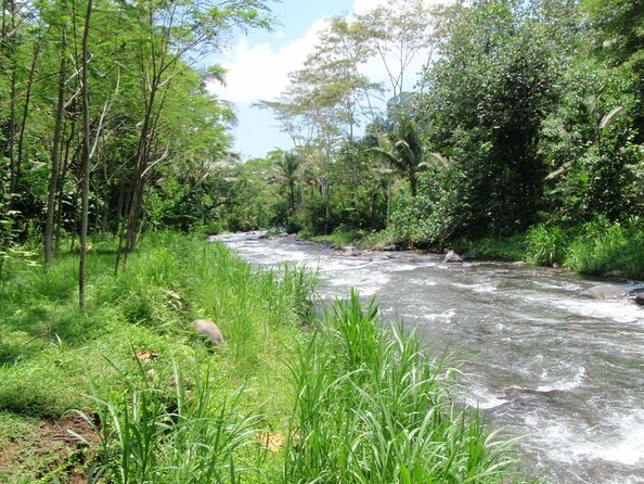Telaga Waja River White-Water Rafting with Buffet Lunch - Key Takeaways Before You Go