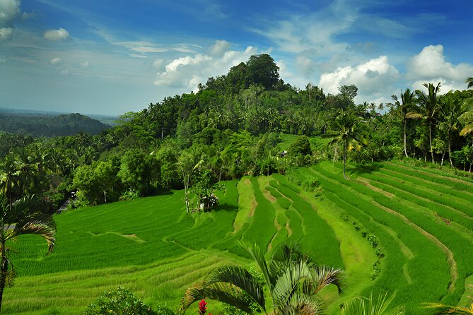 Telaga Waja White Water Rafting and Besakih Temple Tour - Bukit Jambul Rice Terrace: eastern Bali views with a practical food backdrop
